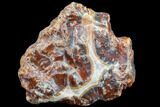 Beautiful Condor Agate From Argentina - Cut/Polished Face #79493-2